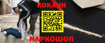 СК Новодвинск