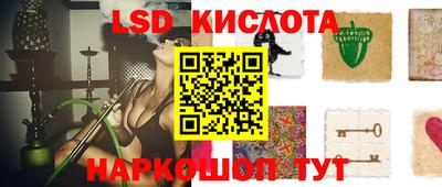 СК Новодвинск