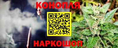 стафф Новокубанск