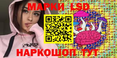 стафф Новокубанск
