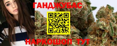 СК Новодвинск