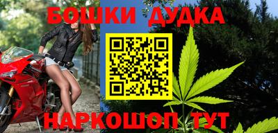 СК Новодвинск