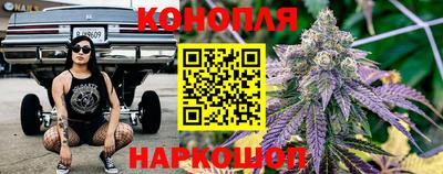 стафф Новокубанск