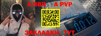 СК Новодвинск