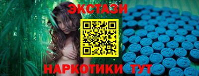 СК Новодвинск