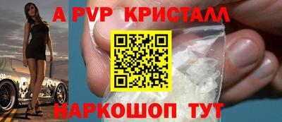 СК Новодвинск