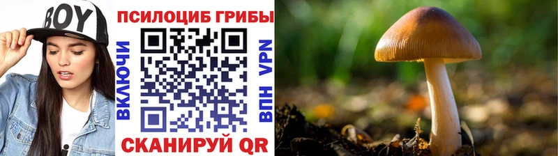 Галлюциногенные грибы Magic Shrooms  Топки 