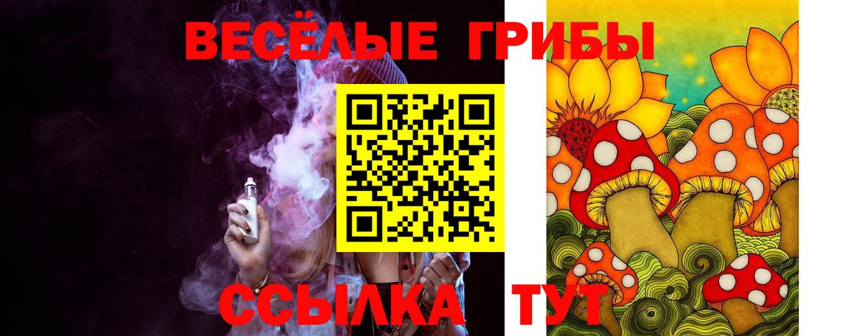 Псилоцибиновые грибы GOLDEN TEACHER  Вход с VPN  Топки 