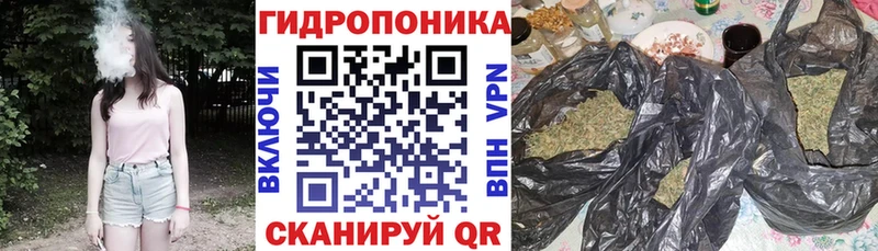 Шишки марихуана план нарко площадка телеграм Топки